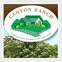 icon_canyon.jpg